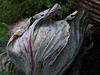 _A003052oofm.jpg